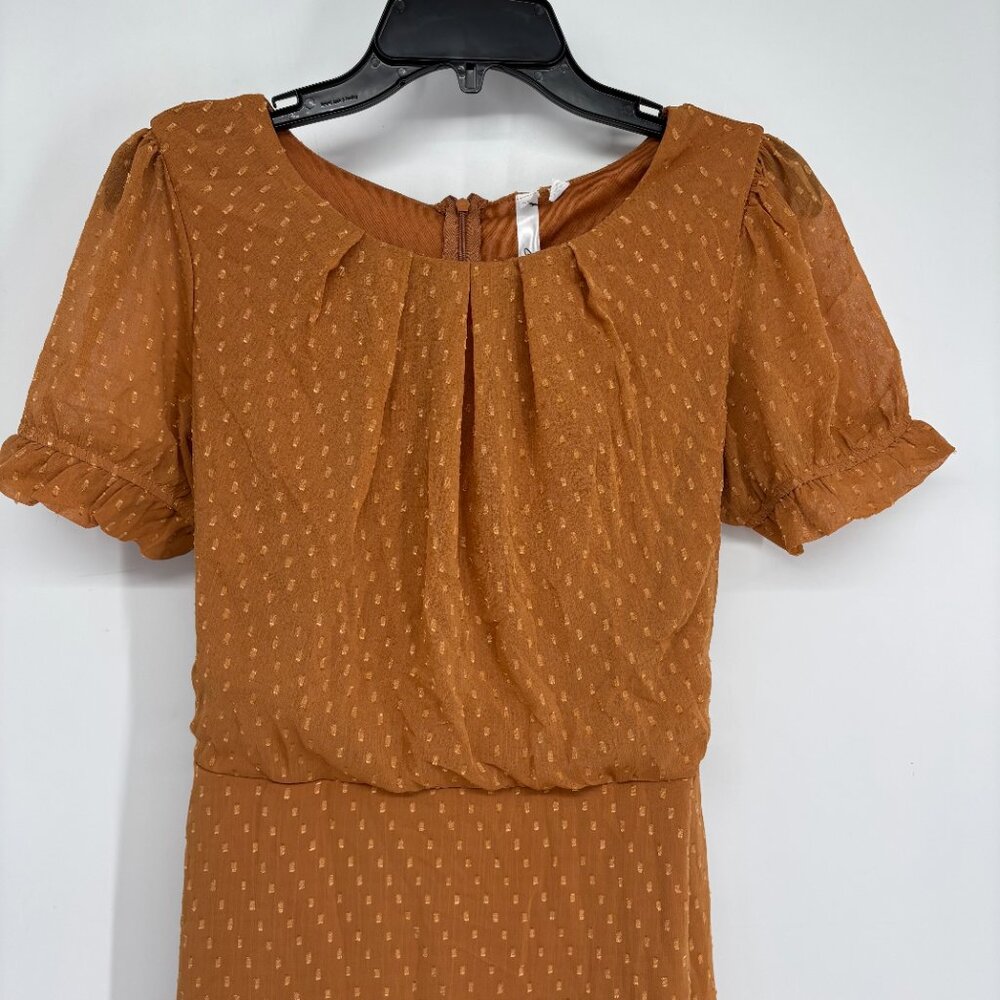 NY Collection Women Short Sleeve Belted Swiss Dot Dress Meerkat Rectangle PM NWT - Picture 4 of 8